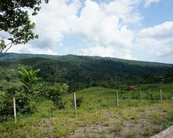 【コロンビア旅】秘境モコアのアマゾン探検！世界の終わりの滝とシャーマン