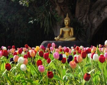 【タイ旅】古都チェンマイとその郊外とステープ山の絶景