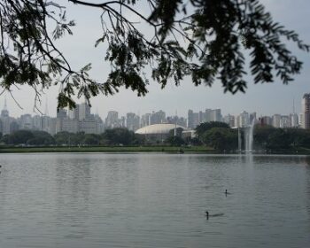 【ブラジル旅】南米最大のメガシティ・サンパウロ！東洋人街リベルダーデとパウリスタ通り
