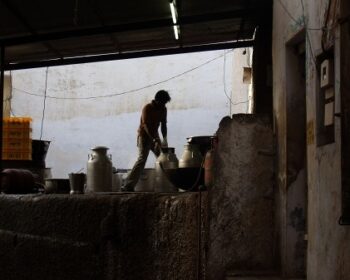 【インド旅】山のお寺に参拝とサーヴィトリ寺院探訪