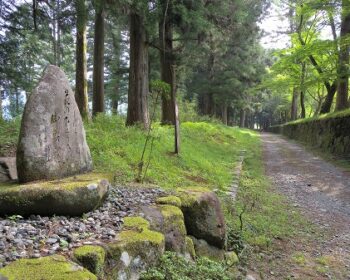 【日本旅】世界遺産・大峯奥駈道を歩く！修験道の険しい山岳縦走記